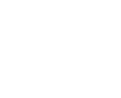 Portfolio Icon